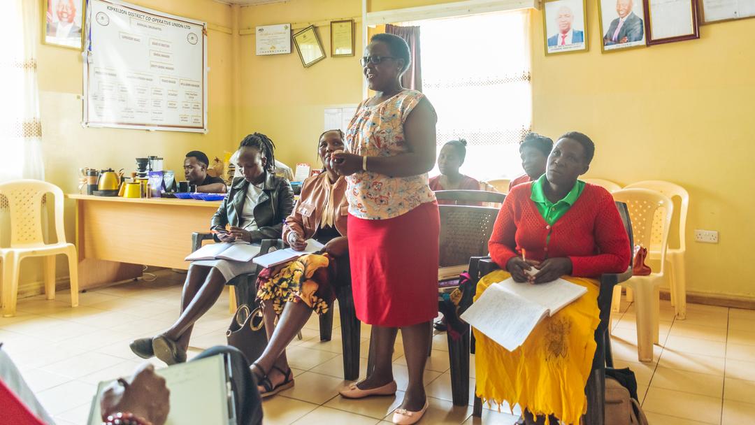 Shangazi Agent Network